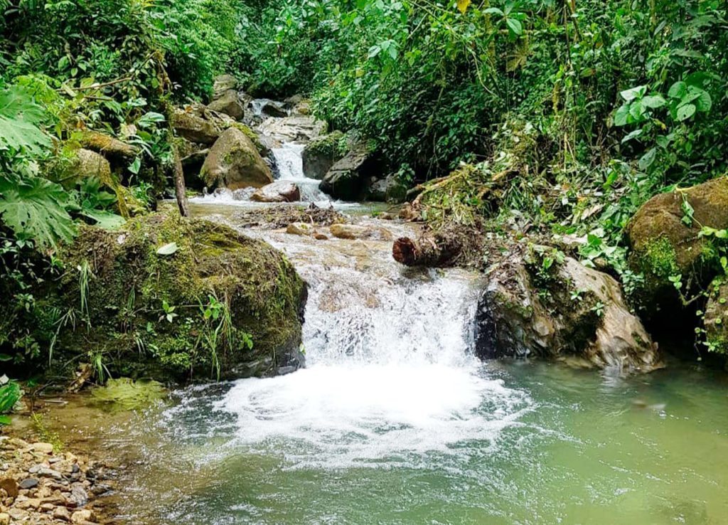 cascada en el Rio Consuelo