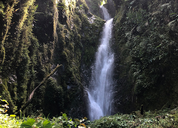 Cascada río Consuelo_Finca Palmonte