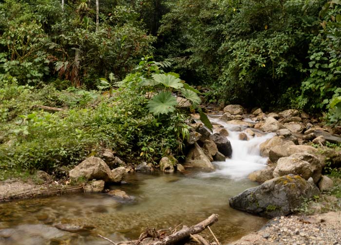 Río Consuelo_Finca Palmonte